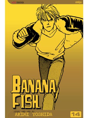 cover image of Banana Fish, Volume 14